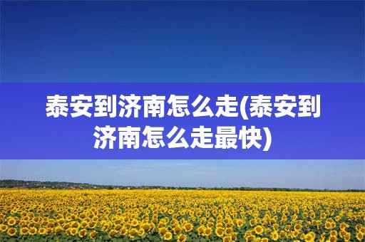 泰安到济南怎么走(泰安到济南怎么走最快)