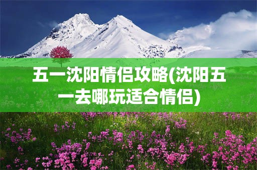 五一沈阳情侣攻略(沈阳五一去哪玩适合情侣)