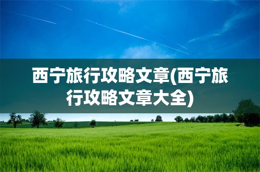 西宁旅行攻略文章(西宁旅行攻略文章大全)