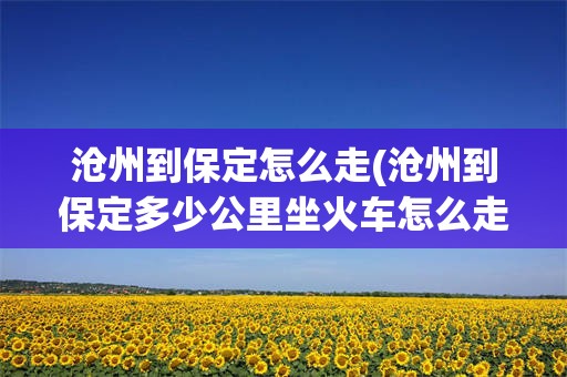 沧州到保定怎么走(沧州到保定多少公里坐火车怎么走)