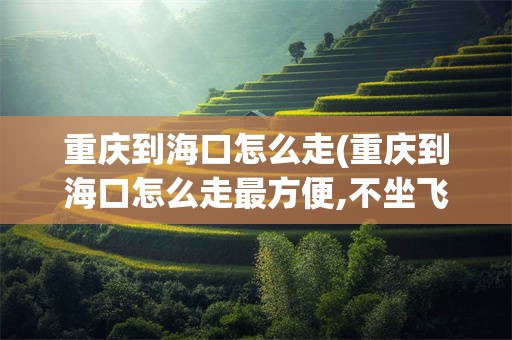重庆到海口怎么走(重庆到海口怎么走最方便,不坐飞机)