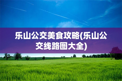 乐山公交美食攻略(乐山公交线路图大全)