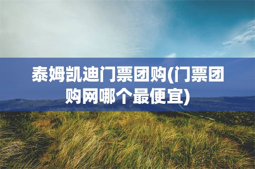 泰姆凯迪门票团购(门票团购网哪个最便宜)
