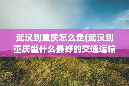 武汉到重庆怎么走(武汉到重庆坐什么最好的交通运输)