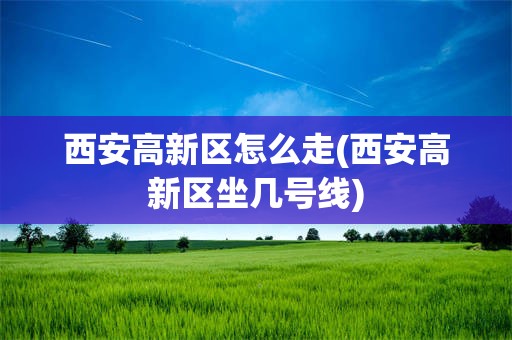 西安高新区怎么走(西安高新区坐几号线)