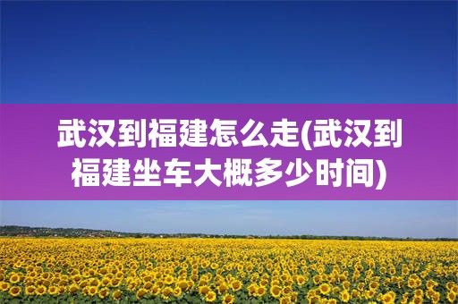 武汉到福建怎么走(武汉到福建坐车大概多少时间)