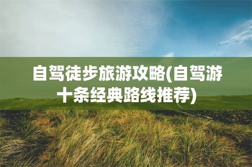 自驾徒步旅游攻略(自驾游十条经典路线推荐)
