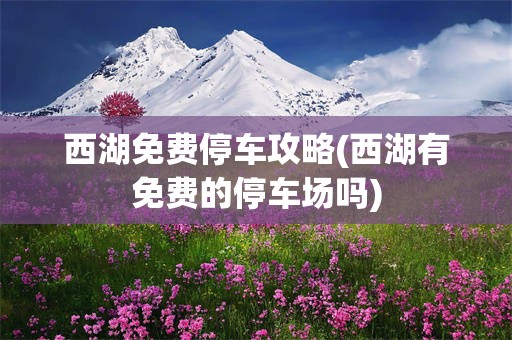 西湖免费停车攻略(西湖有免费的停车场吗)