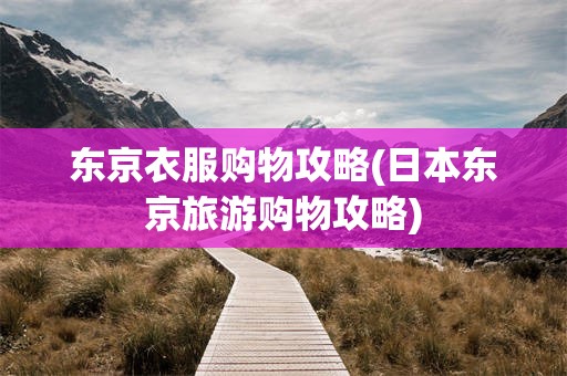东京衣服购物攻略(日本东京旅游购物攻略)