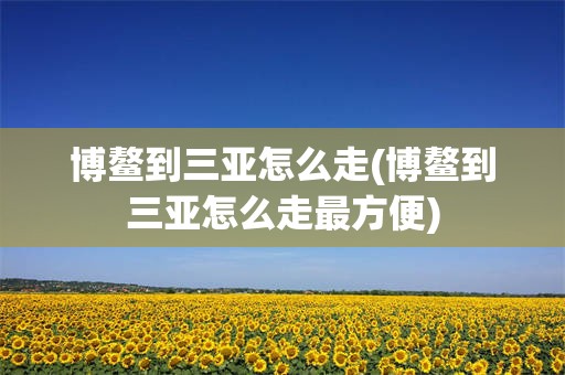 博鳌到三亚怎么走(博鳌到三亚怎么走最方便)