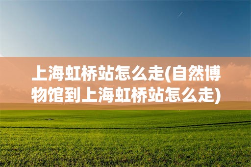 上海虹桥站怎么走(自然博物馆到上海虹桥站怎么走)