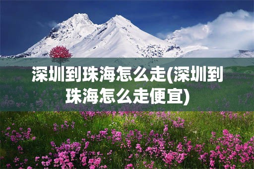 深圳到珠海怎么走(深圳到珠海怎么走便宜)
