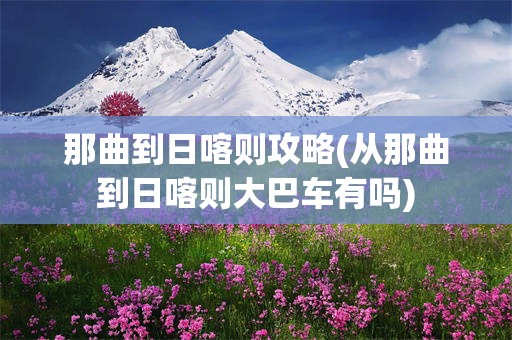 那曲到日喀则攻略(从那曲到日喀则大巴车有吗)