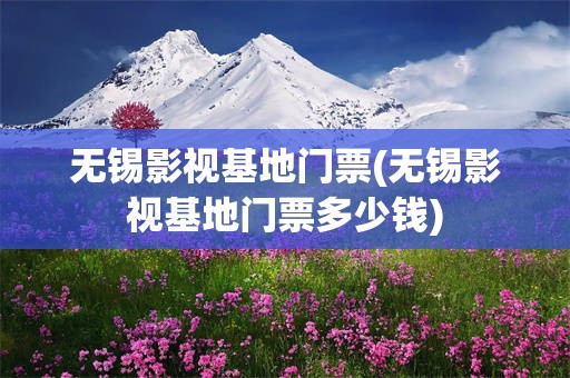 无锡影视基地门票(无锡影视基地门票多少钱)