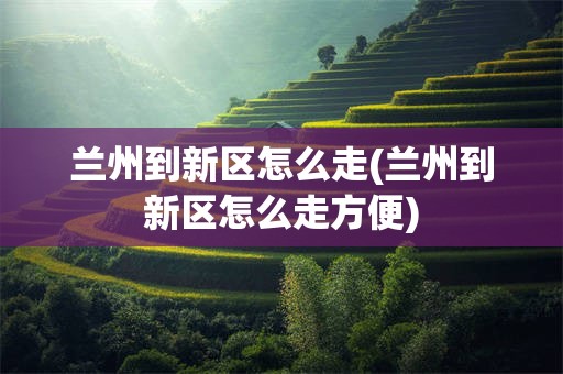 兰州到新区怎么走(兰州到新区怎么走方便)