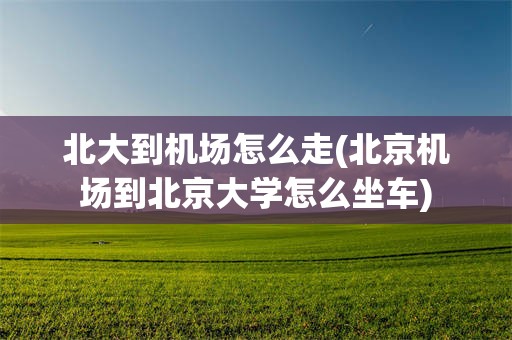 北大到机场怎么走(北京机场到北京大学怎么坐车)