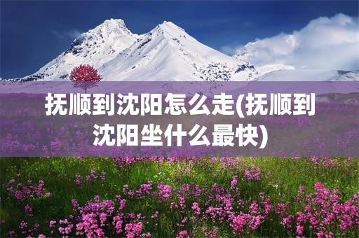 抚顺到沈阳怎么走(抚顺到沈阳坐什么最快)