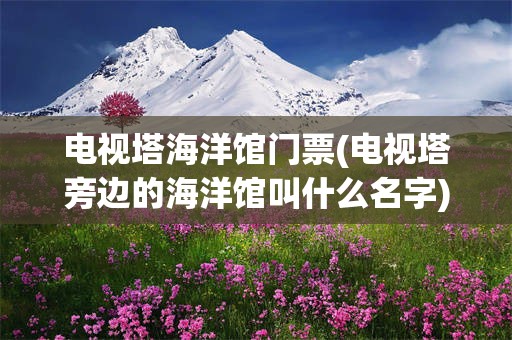 电视塔海洋馆门票(电视塔旁边的海洋馆叫什么名字)