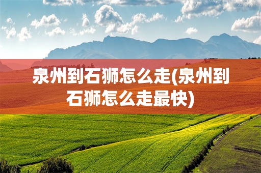 泉州到石狮怎么走(泉州到石狮怎么走最快)