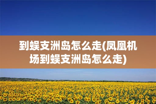 到蜈支洲岛怎么走(凤凰机场到蜈支洲岛怎么走)