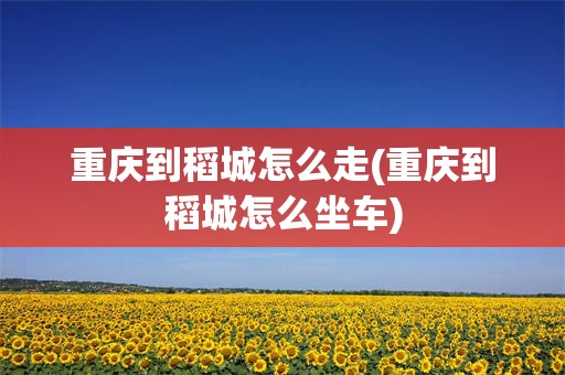 重庆到稻城怎么走(重庆到稻城怎么坐车)