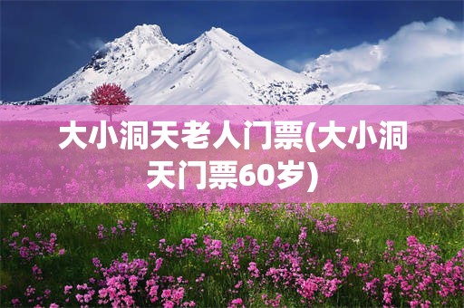 大小洞天老人门票(大小洞天门票60岁)