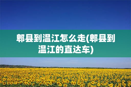 郫县到温江怎么走(郫县到温江的直达车)