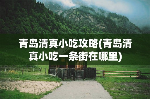 青岛清真小吃攻略(青岛清真小吃一条街在哪里)
