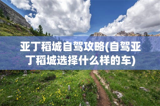 亚丁稻城自驾攻略(自驾亚丁稻城选择什么样的车)