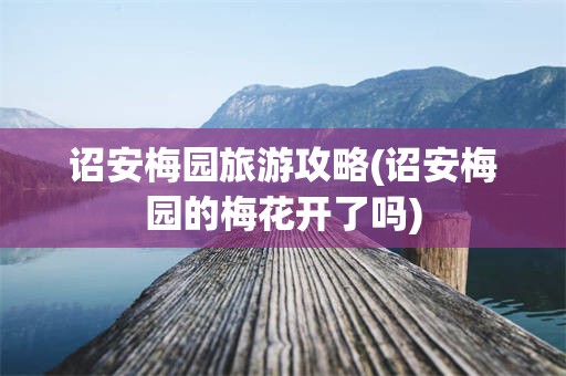 诏安梅园旅游攻略(诏安梅园的梅花开了吗)