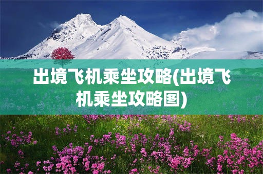 出境飞机乘坐攻略(出境飞机乘坐攻略图)