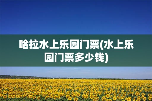 哈拉水上乐园门票(水上乐园门票多少钱)