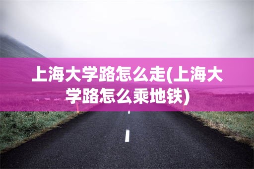 上海大学路怎么走(上海大学路怎么乘地铁)
