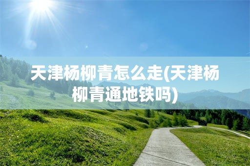天津杨柳青怎么走(天津杨柳青通地铁吗)