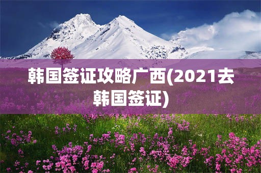 韩国签证攻略广西(2021去韩国签证)