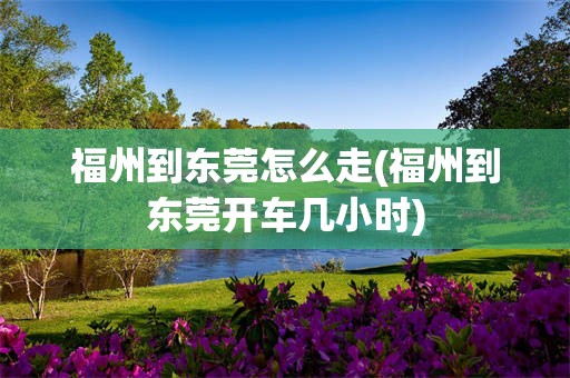 福州到东莞怎么走(福州到东莞开车几小时)