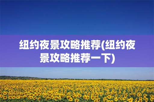 纽约夜景攻略推荐(纽约夜景攻略推荐一下)