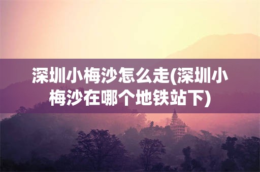 深圳小梅沙怎么走(深圳小梅沙在哪个地铁站下)