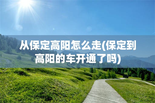 从保定高阳怎么走(保定到高阳的车开通了吗)