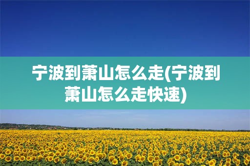 宁波到萧山怎么走(宁波到萧山怎么走快速)