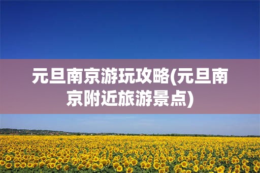 元旦南京游玩攻略(元旦南京附近旅游景点)
