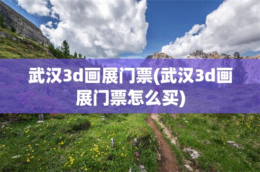 武汉3d画展门票(武汉3d画展门票怎么买)