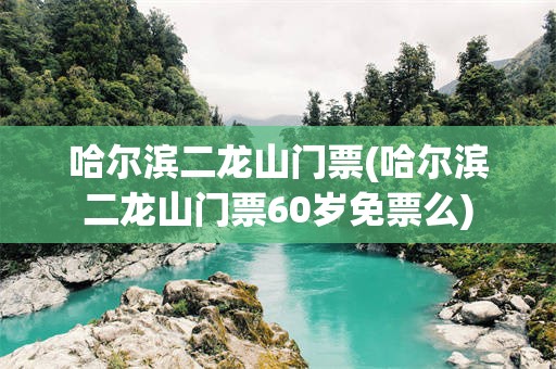 哈尔滨二龙山门票(哈尔滨二龙山门票60岁免票么)