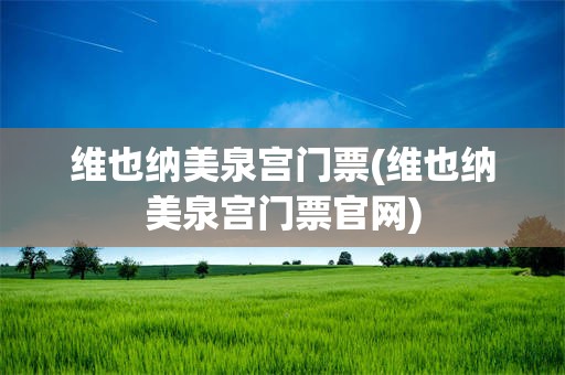 维也纳美泉宫门票(维也纳美泉宫门票官网)