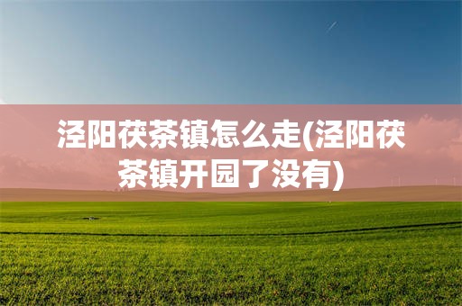 泾阳茯茶镇怎么走(泾阳茯茶镇开园了没有)