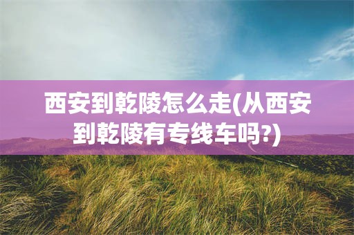 西安到乾陵怎么走(从西安到乾陵有专线车吗?)