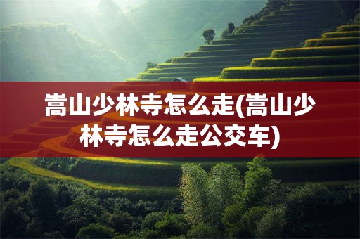 嵩山少林寺怎么走(嵩山少林寺怎么走公交车)