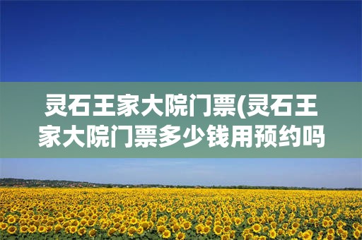 灵石王家大院门票(灵石王家大院门票多少钱用预约吗)