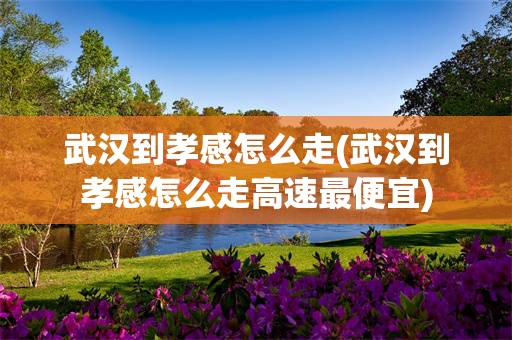 武汉到孝感怎么走(武汉到孝感怎么走高速最便宜)