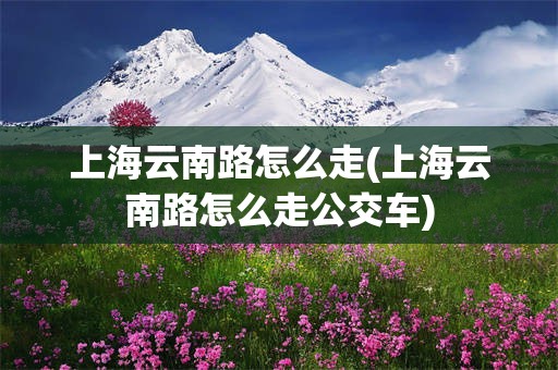 上海云南路怎么走(上海云南路怎么走公交车)